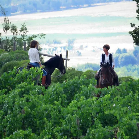 Castello Banfi - Il Borgo - Relais Et Chateaux Poggio alle Mura