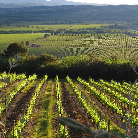 Castello Banfi - Il Borgo - Relais Et Chateaux